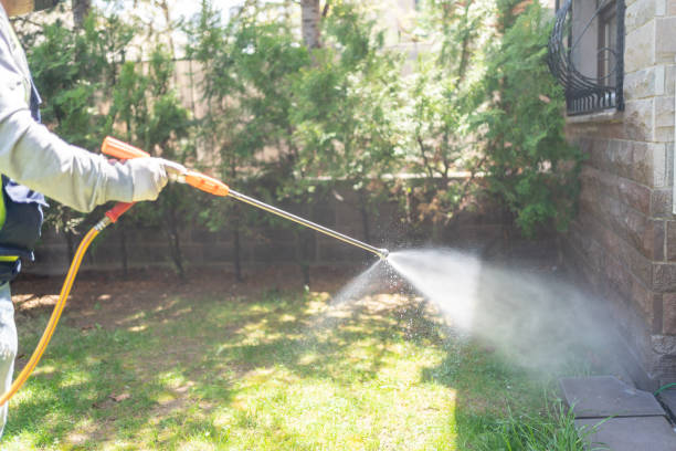 Pest Prevention Services in Lenoir City, TN