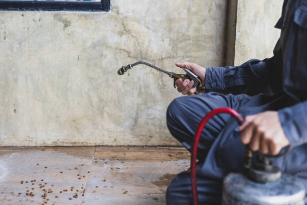 Best Emergency Pest Control  in Lenoir City, TN